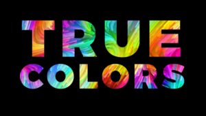 Understanding the 4 True Colors “Your Core Motives” Personality Types